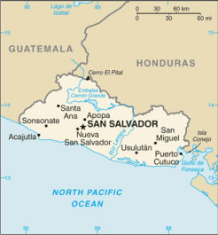 cafe-Salvador-Pacamara-1