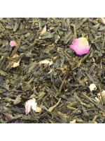 the_vert_aromatise_les_jardins_de_kyoto