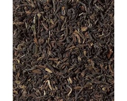 22450_inde_darjeeling_himalaya