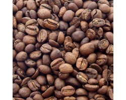 cafe_en_grain_equateur_vilcabamba