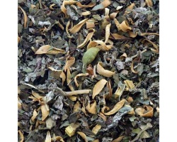 infusiion_pure_relaxation