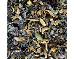 infusion_pure_relaxation