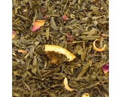 the_vert_aromatise_bahia_do_brazil