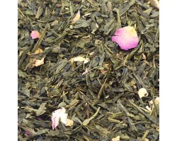 the_vert_aromatise_les_jardins_de_kyoto