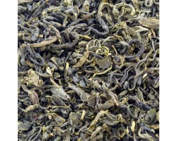 the_vert_bio_woojeon_coree_du_sud